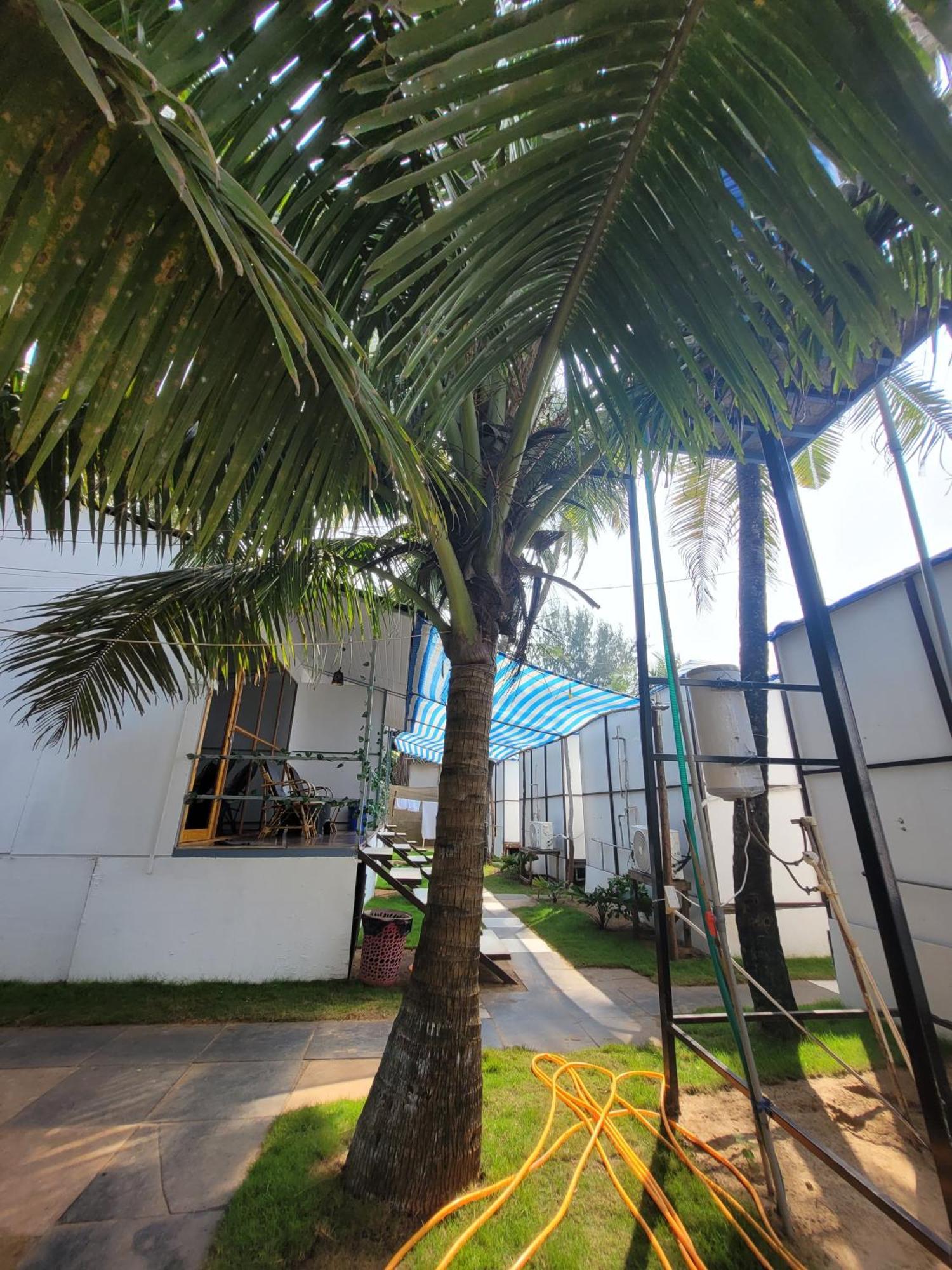 Kashinath Beach Huts Агонда Экстерьер фото